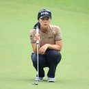 윤이나개 이미지