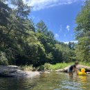 채리 빌리지 이미지