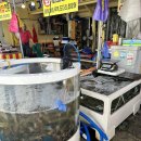 서울수산 | 충남 태안 2025년 백사장항 대하축제.(fx.주차,가격) / 서울수산 이용한 후기.