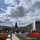 Trip:EVERLAND 2탄:: 에버랜드 45주년 기념~5년만에 만난[튤립가든 축제]판다월드/주토피아/포시즌스...