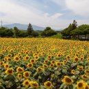 번영로농장 이미지