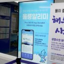 펫크루즈 이미지