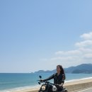 생성의 대지-비상 | 온디바이스 AI가 바꾸는 맛과 길