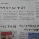 88완당집 이미지