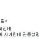 관등 Daum카페