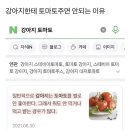 서지골프용품점 | 개백수랑 개시끼