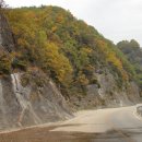 천연머리염색 이미지