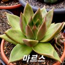마르스