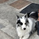 노원-공릉-3240 이미지