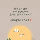 남과여 - 4426 | 남과여