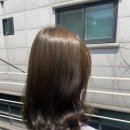 마포구청 미용실 염색 잘하는곳 퍼센트헤어 올리브브라운 후기