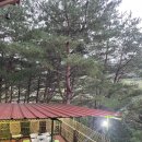 산꽃내 농원펜션 이미지