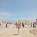 2025년 부산 해운대 모래 축제 후기 모래작품 전시