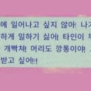 블루메디 이미지