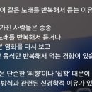오마카세반복