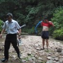 촉수엄금 이미지