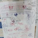 동물제중원금손이 동물병원 | 강아지 디스크 침치료 1회차 후기｜동물제중원 금손이 방문기