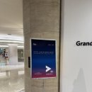 [글로벌 리더스포럼 대학생 서포터즈] TV조선 2023 글로벌 리더스포럼 생생한 현장 후기!