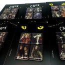 디자인4캣츠
