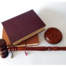 에스엘(SL) 이미지