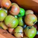 반딧불청과 이미지