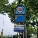 무태네거리 정류장 네이버블로그