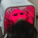 용원 | [주용씨/뷰티일상] 늘어난 모공 관리 잘하는 진해용원 혜리온에스테틱 후기