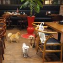 BHC디지털점 이미지