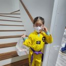 정무태권도학교 이미지