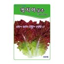 씨앗 - 남양주시 덕소로116번길 11 | 씨앗