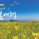 제주도 남서부·가파도·마라도 네이버블로그