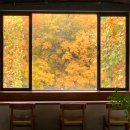 경기도 수원시 팔달구 인계로124번길 이미지