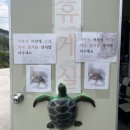 거북이휴게실 이미지