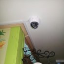 숲속마을어린이집 이미지