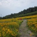 백년대로 307번길 이미지