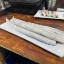 팔팔장어 이미지