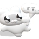 세우여행사 이미지