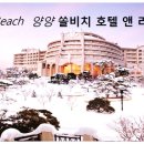 양양쏠비치 &amp;노블리안회원권여행후기(실버 골드 로얄)