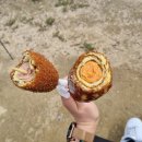 핫도그몽실 이미지