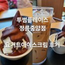 투썸플레이스정릉 | [정릉 카페] 투썸플레이스 정릉중앙점 초코요거트아이스크림 후기