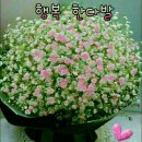 임순남노래교실