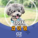 Dr. 오즈 동물병원 이미지