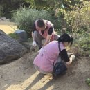 영종도, 강화도 2박여행(3일차) : 강화도 전등사 템플스테이(2일째), 아매네 카페, 초지대교 막국수