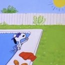 그해 여름 이미지