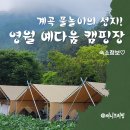 시골다슬기 | 영월 예다움캠핑장 후기! 계곡물놀이·다슬기 체험 가득한 가족캠핑