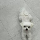 이뻐질개 이미지