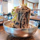 막국수뿐만 아니라 수육도 유명한 단월동 수안보 원조중앙탑막국수