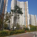 신동탄e편한공인중개사사무소 | [기산동SK뷰파크2차 아파트] 가을 풍경