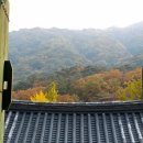 백운행정사사무소 이미지