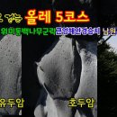 위미동백나무군락 이미지